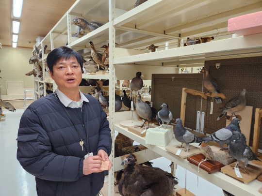 류영남 국립생물자원관 주무관이 1월 29일 국립생물자원관에서 박제에 대해 설명 중이다. 정석준 기자, mp1256@